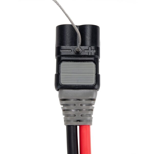 Wtyczka 12V, 24V, 36V / 60Amp